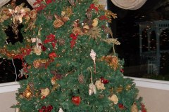 debbie-g-photos-act-121